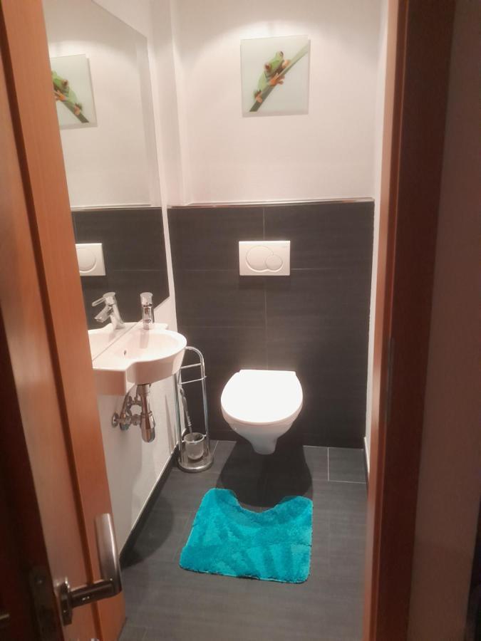 Haus Hotz Apart Talblick Grins المظهر الخارجي الصورة
