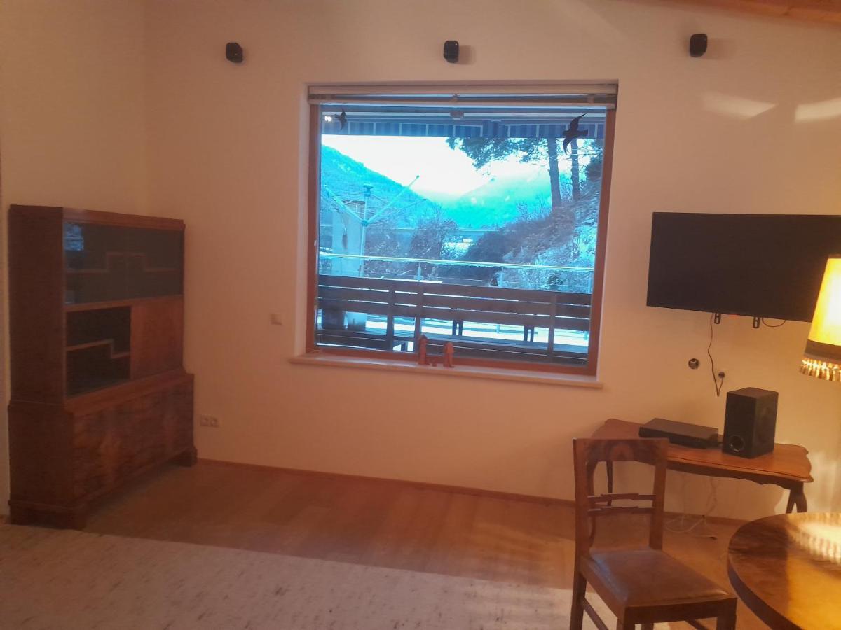 Haus Hotz Apart Talblick Grins المظهر الخارجي الصورة